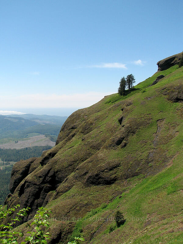 the edge of Saddle Mountain [Saddle Mountain Trail, Clatsop County, Oregon]