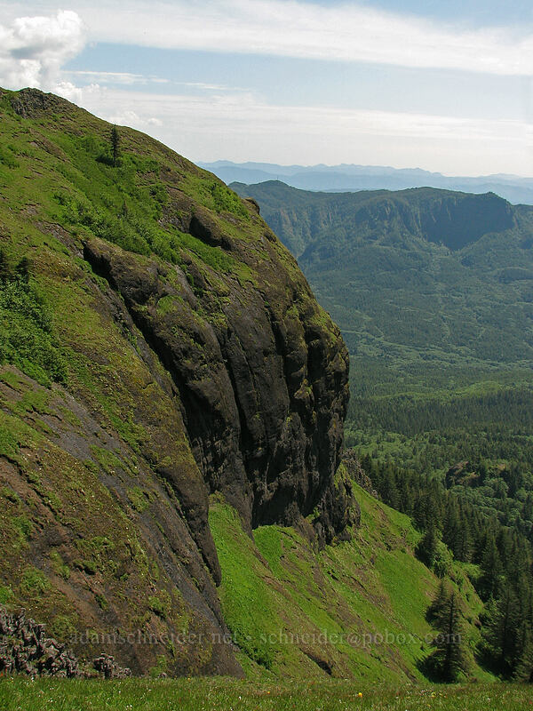 steep rounded cliffs & Humbug Mountain [Saddle Mountain Trail, Clatsop County, Oregon]