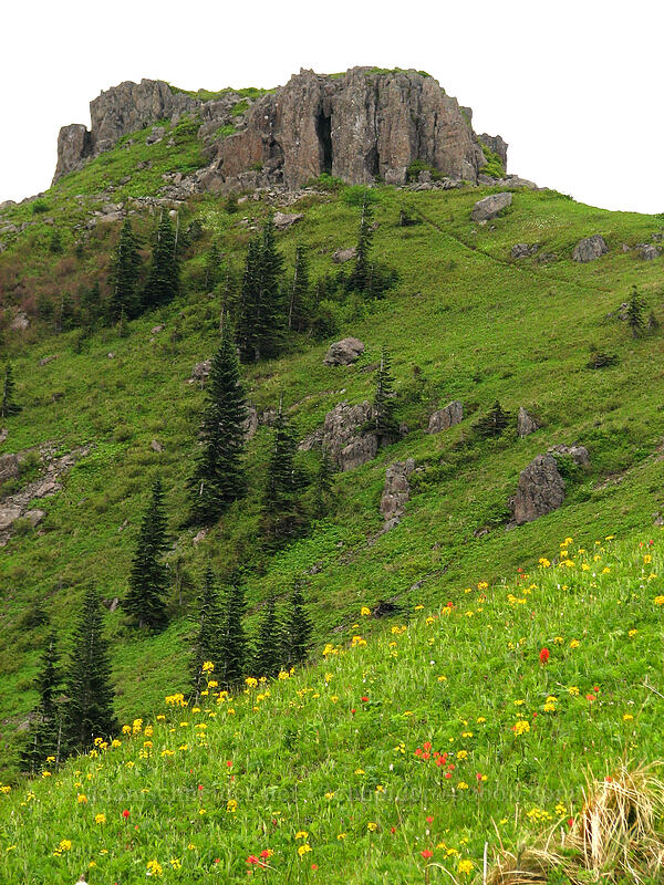 rocky crags [Ed's Trail, Silver Star Mountain, Gifford Pinchot National Forest, Skamania County, Washington]