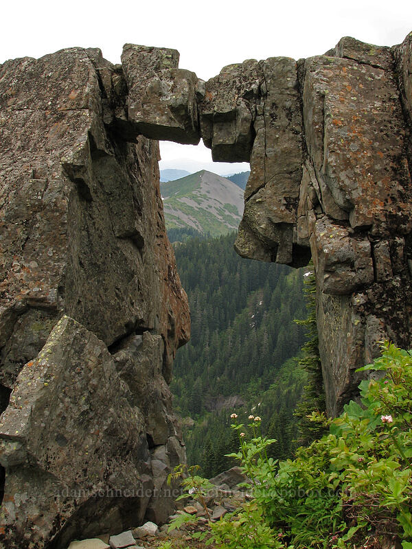 rock arch [Ed's Trail, Silver Star Mountain, Gifford Pinchot National Forest, Skamania County, Washington]