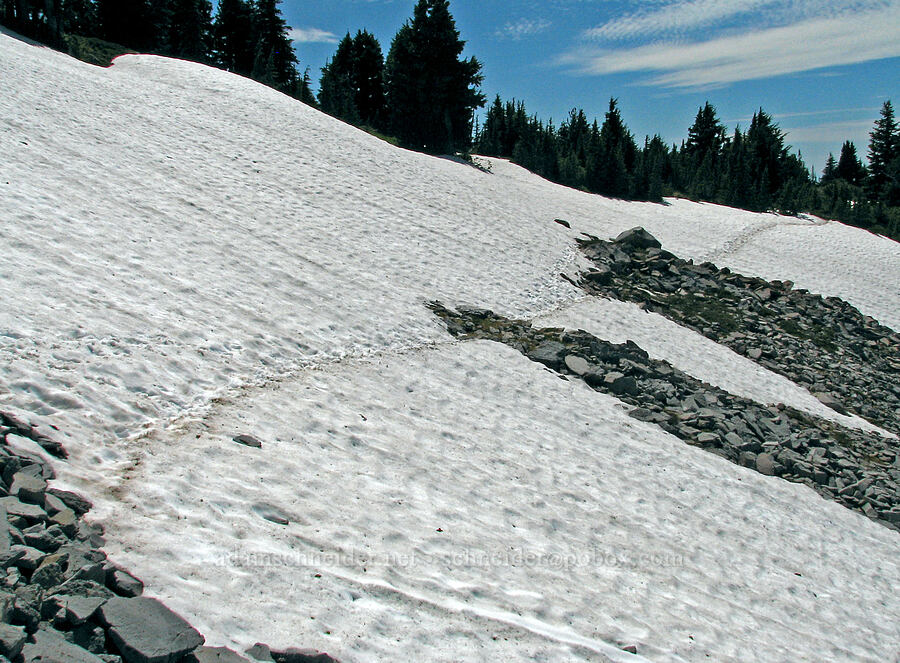 trail across a snowfield [McNeil Point Trail, Mt. Hood Wilderness, Hood River County, Oregon]
