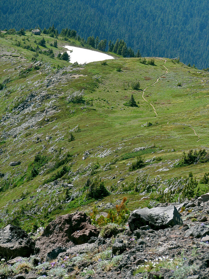 looking down toward the shelter [above McNeil Point, Mt. Hood Wilderness, Clackamas County, Oregon]