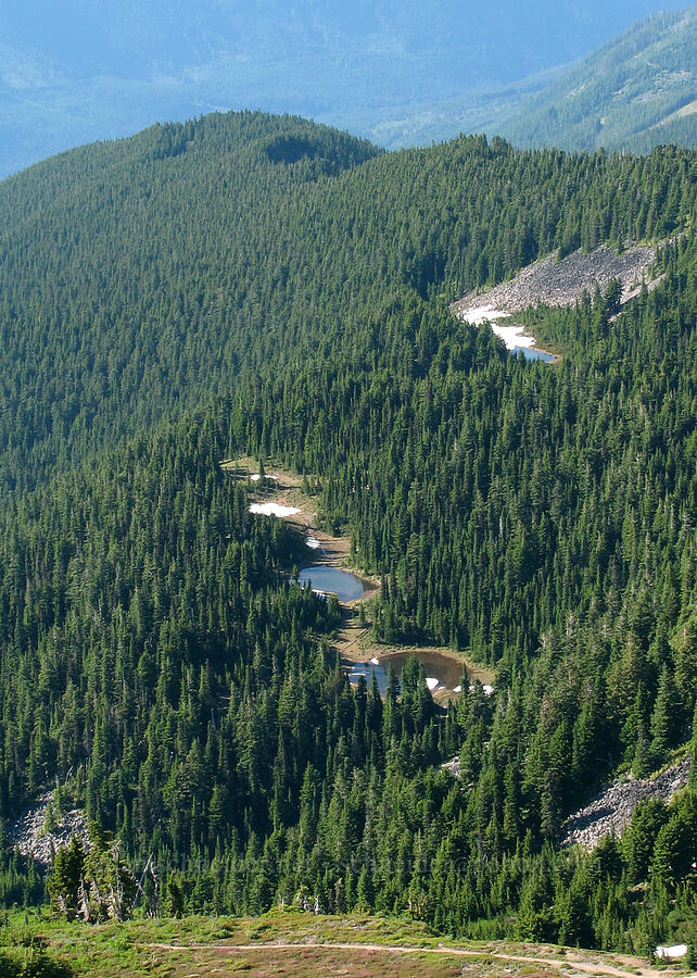 Cathedral Ridge [above McNeil Point, Mt. Hood Wilderness, Hood River County, Oregon]
