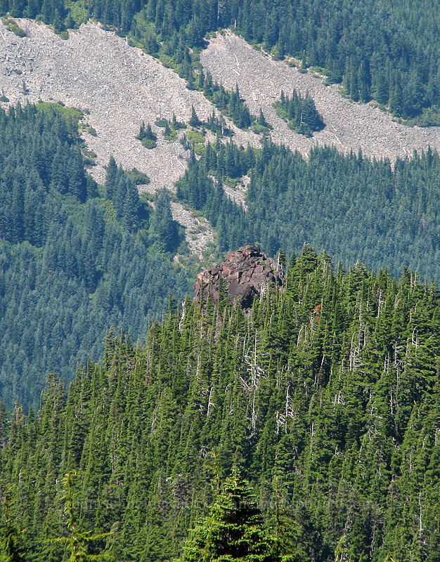 The Pinnacle [Timberline Trail, Mt. Hood Wilderness, Hood River County, Oregon]