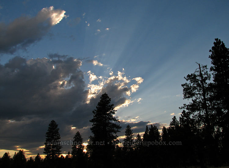 sunset [Highway 242, Sisters, Deschutes County, Oregon]