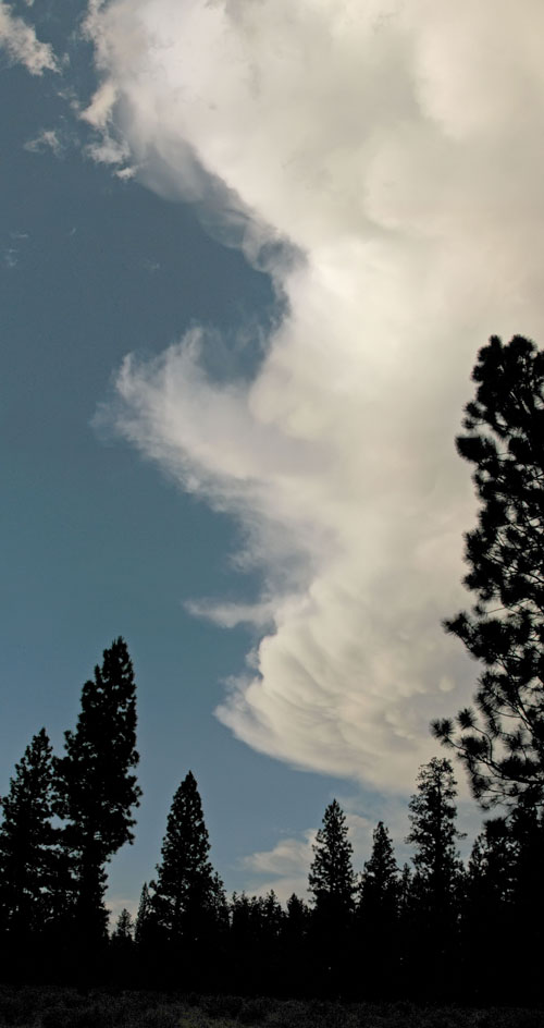 cumulonimbus cloud at sunset [Tollgate, Sisters, Deschutes County, Oregon]