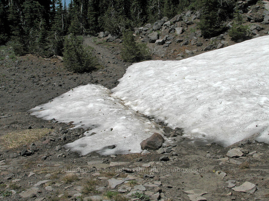 snow on the trail [Round-the-Mountain Trail, Mt. Adams Wilderness, Yakima County, Washington]