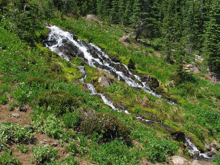 small waterfall [Round-the-Mountain Trail, Yakama Reservation, Yakima County, Washington]