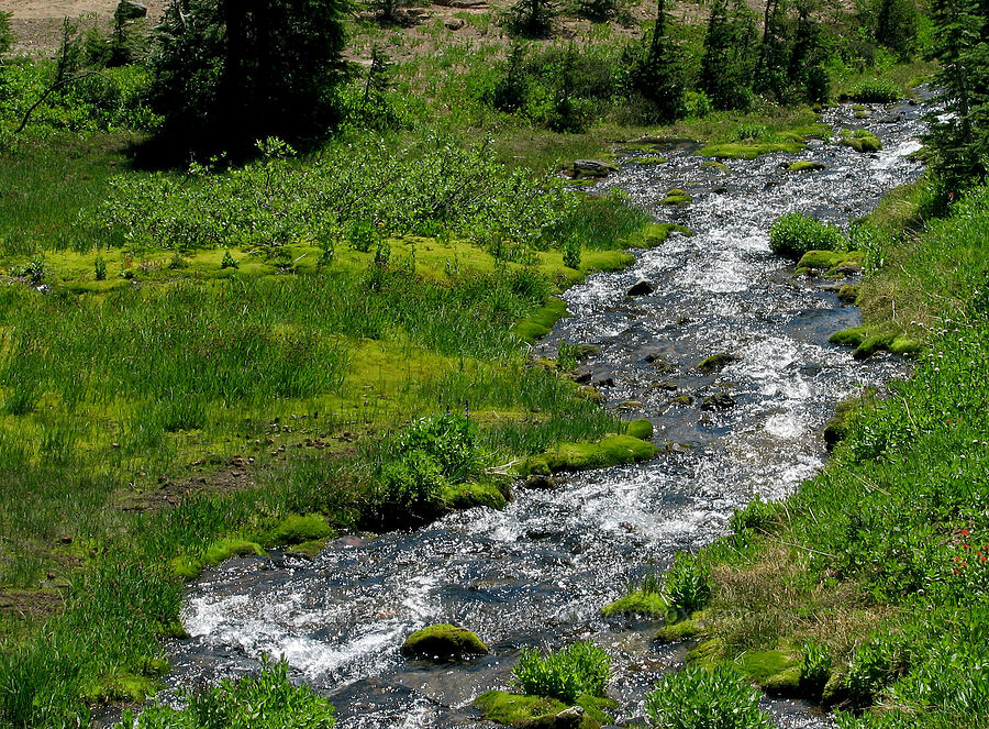 stream through a meadow [Round-the-Mountain Trail, Yakama Reservation, Yakima County, Washington]