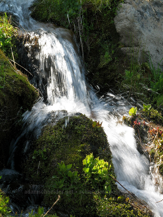 small waterfall [Round-the-Mountain Trail, Yakama Reservation, Yakima County, Washington]