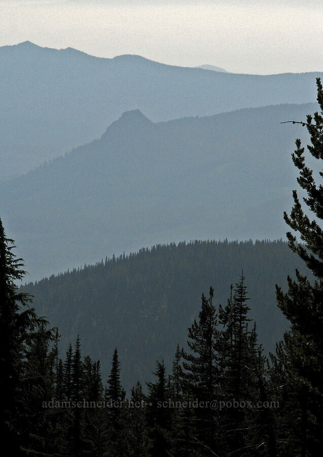Sleeping Beauty [South Climb Trail, Mt. Adams Wilderness, Yakima County, Washington]