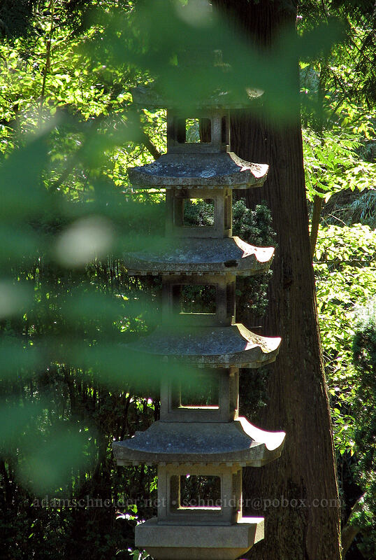 leaves & pagoda [Portland Japanese Garden, Portland, Multnomah County, Oregon]