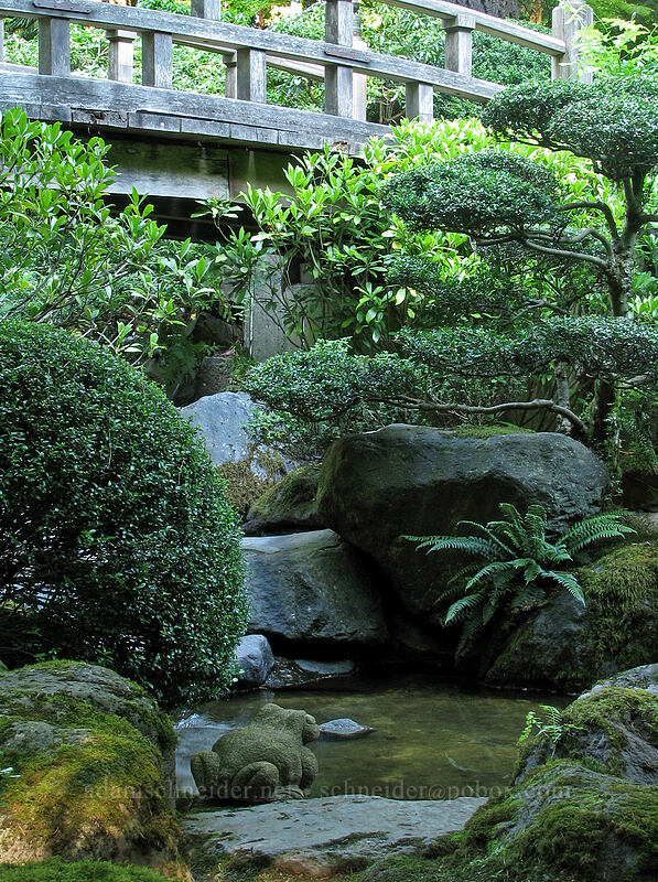 bridge & frog [Portland Japanese Garden, Portland, Multnomah County, Oregon]