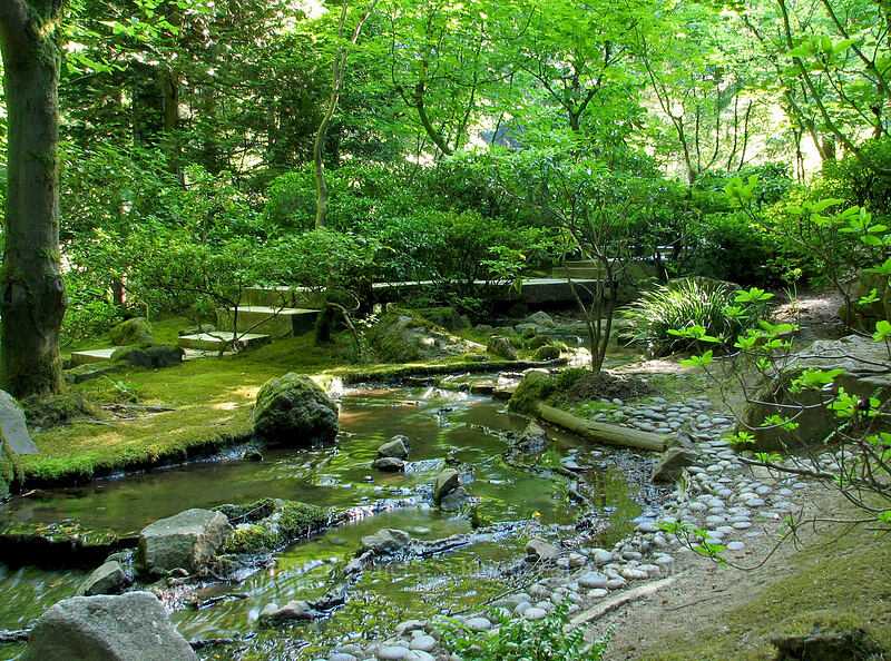 stream [Portland Japanese Garden, Portland, Multnomah County, Oregon]