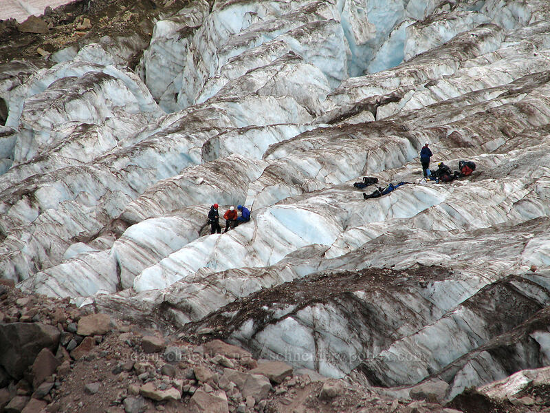 rescue practice on Eliot Glacier [above Langille Crags, Mt. Hood Wilderness, Hood River County, Oregon]