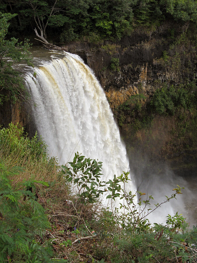 Wailua Falls [Wailua Falls overlook, Wailua River State Park, Kaua'i, Hawaii]