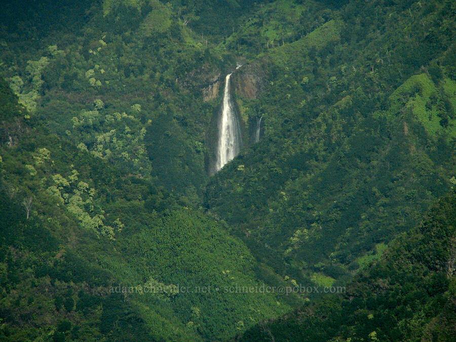 Manawaiopuna Falls [airplane tour, Kaua'i, Hawaii]