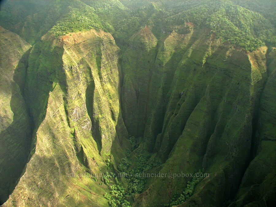 Nu'alolo Valley [airplane tour, Kaua'i, Hawaii]