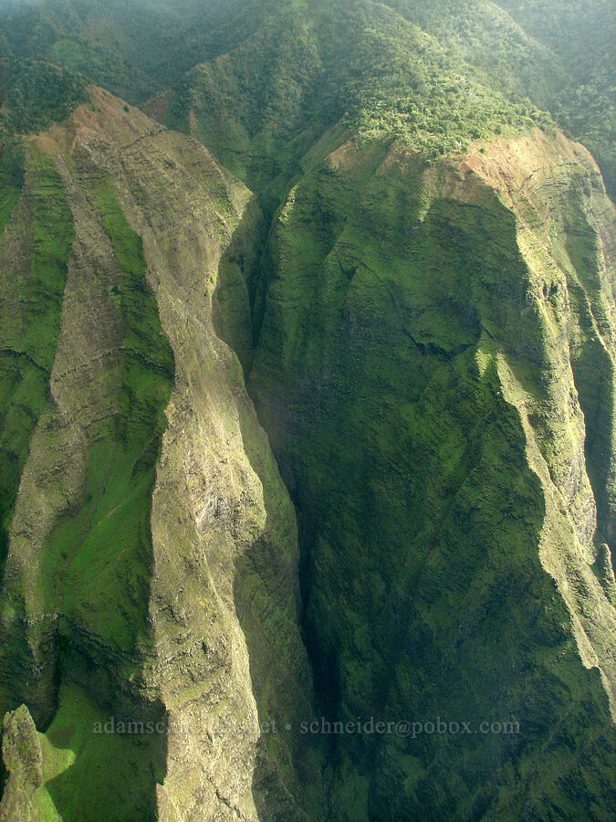 Awa'awapuhi Valley [airplane tour, Kaua'i, Hawaii]