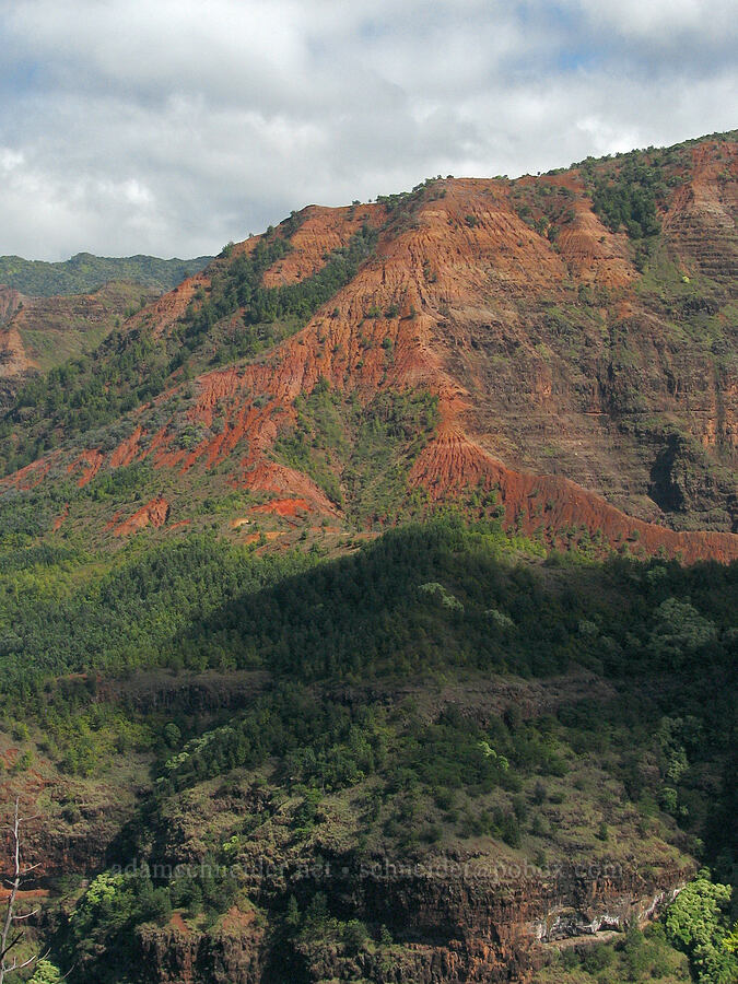 Waimea Canyon [Kukui Trail, Waimea Canyon State Park, Kaua'i, Hawaii]