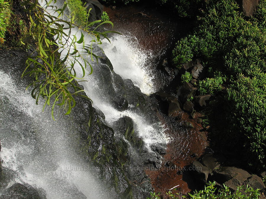 Upper Waipo'o Falls [Canyon Trail, Koke'e State Park, Kaua'i, Hawaii]