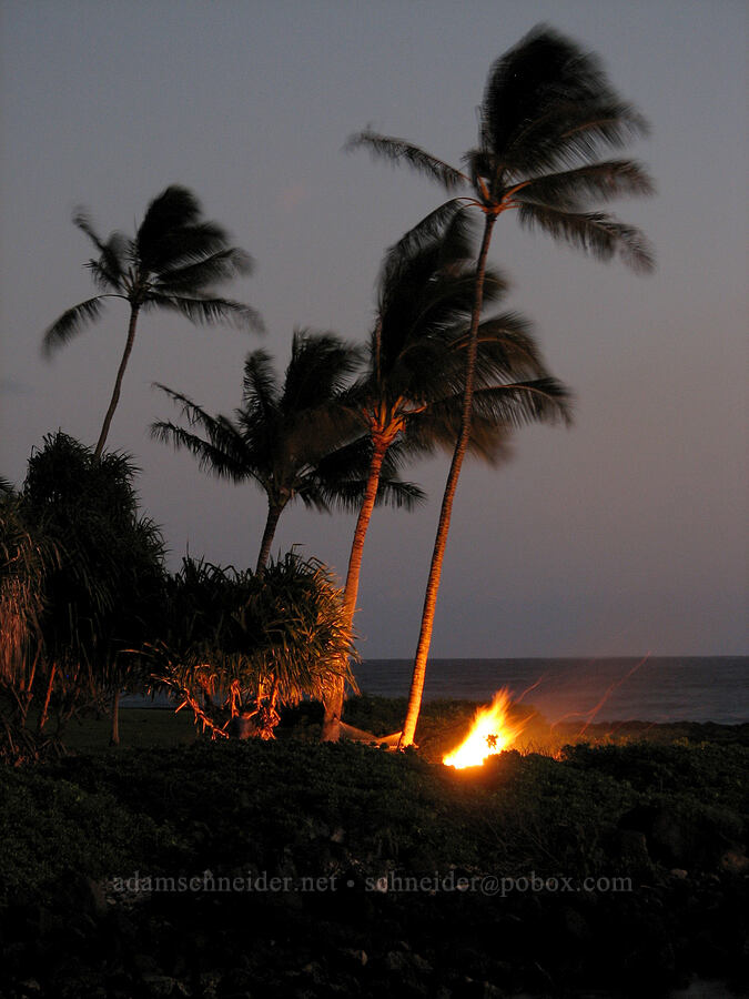 bonfire at the beach [Hale 'Ohe, Po'ipu, Kaua'i, Hawaii]