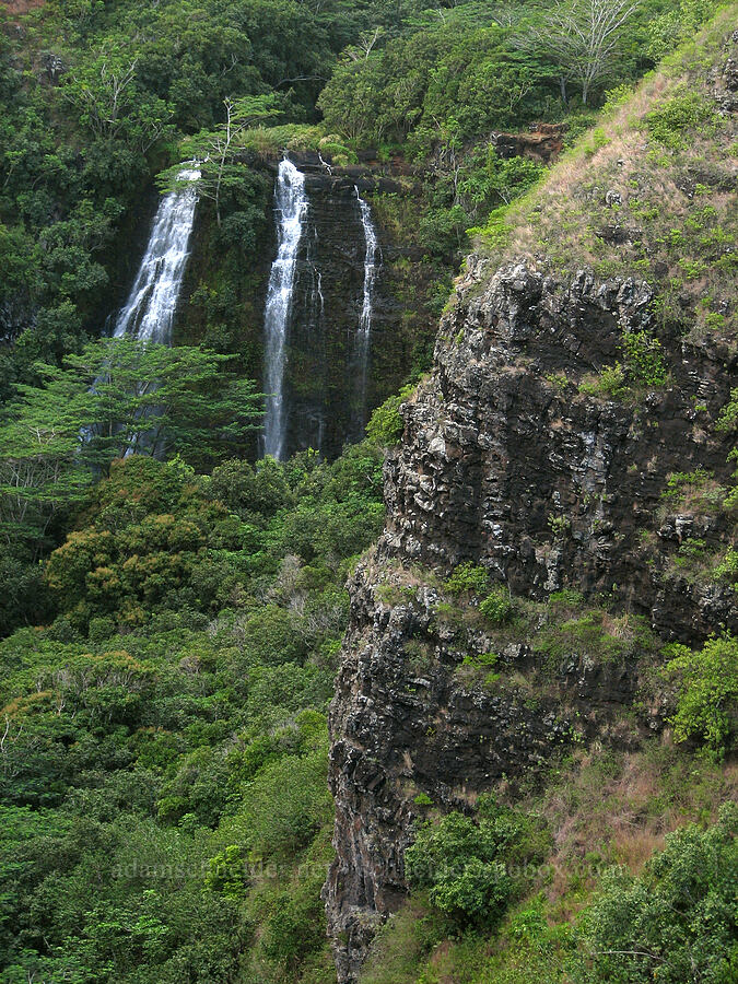 Opaeka'a Falls [Opaeka'a Falls overlook, Wailua River State Park, Kaua'i, Hawaii]