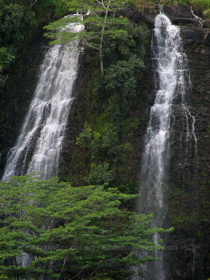Opaeka'a Falls [Opaeka'a Falls overlook, Wailua River State Park, Kaua'i, Hawaii]