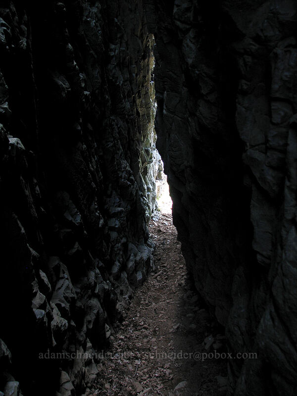 trail behind the north arm of the rock arch [Catherine Creek, Gifford Pinchot National Forest, Klickitat County, Washington]
