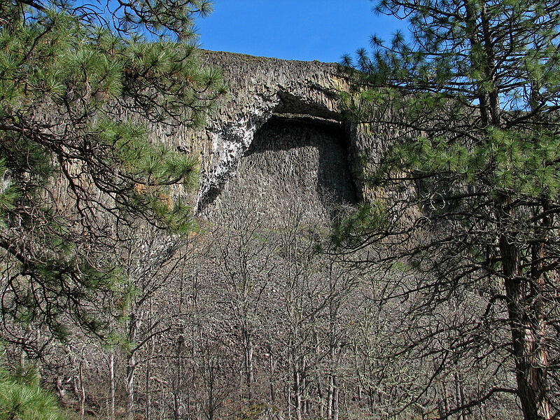 rock arch [Catherine Creek, Gifford Pinchot National Forest, Klickitat County, Washington]