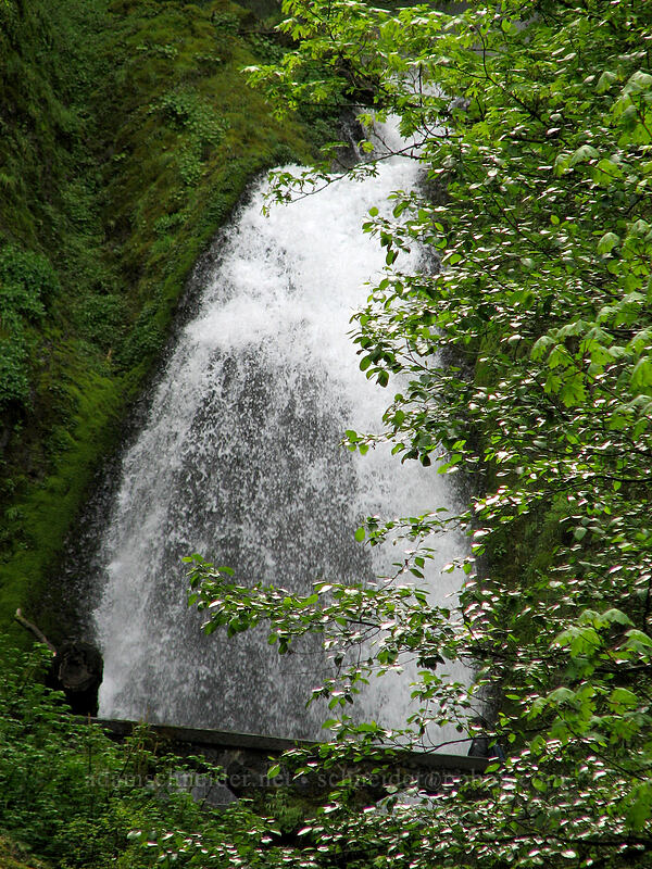 Wahkeena Falls [Old Gorge Highway, Multnomah County, Oregon]