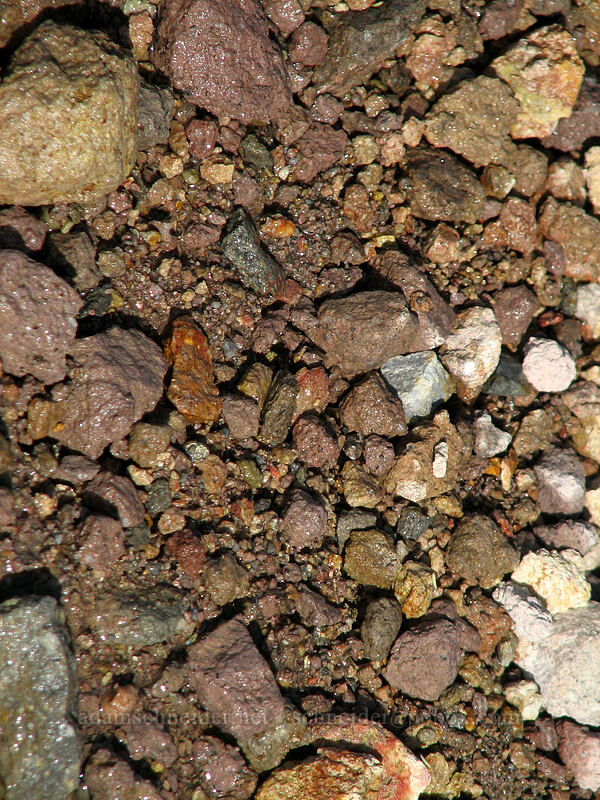 colorful rocks [near Tie-In Rock, Cooper Spur, Mt. Hood Wilderness, Hood River County, Oregon]