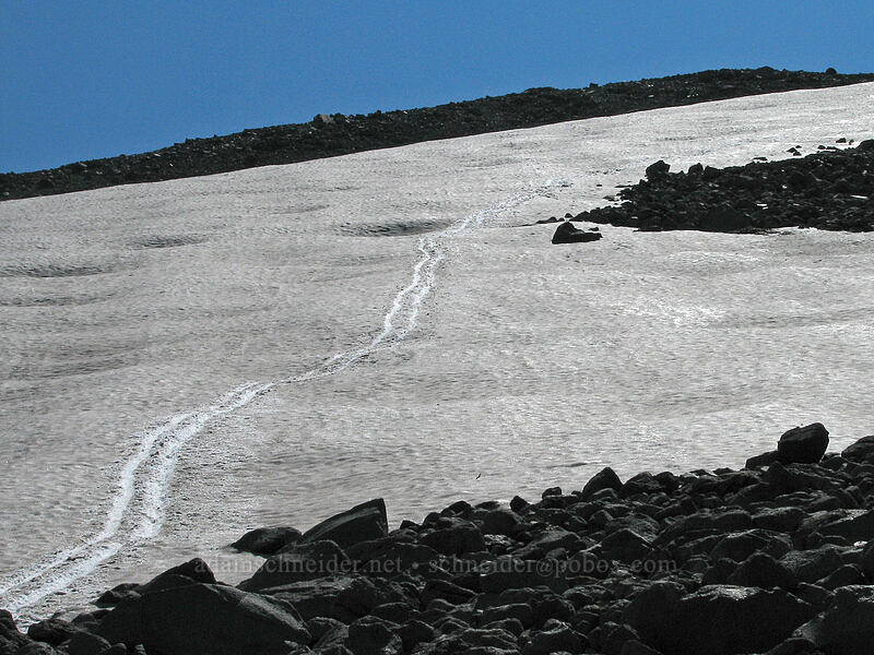 my tracks on the snowfield [Cooper Spur, Mt. Hood Wilderness, Hood River County, Oregon]