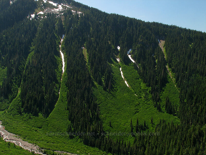 Yocum Ridge [Bald Mountain Ridge, Mt. Hood Wilderness, Clackamas County, Oregon]