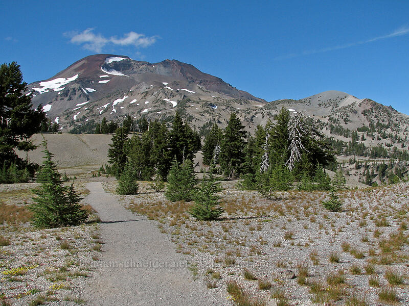 trail to South Sister [South Sister Trail, Three Sisters Wilderness, Deschutes County, Oregon]