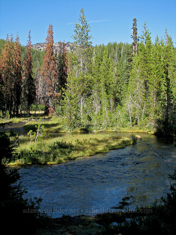 Tyee Creek [Devil's Lake trailhead, Three Sisters Wilderness, Deschutes County, Oregon]