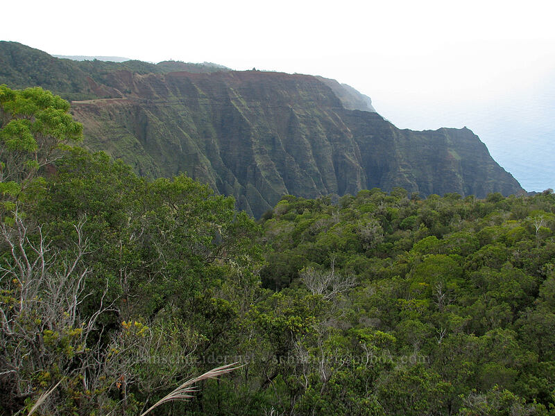 Nu'alolo Valley [Awa'awapuhi Trail, Na Pali Coast, Kaua'i, Hawaii]