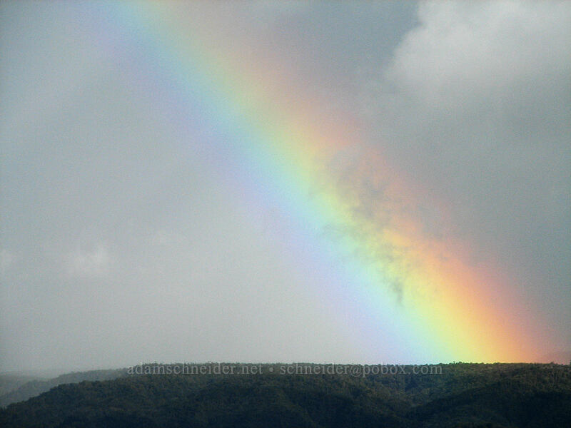 rainbow [Koke'e Road, Waimea Canyon State Park, Kaua'i, Hawaii]