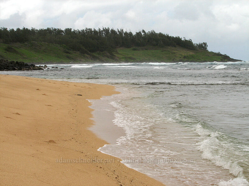 beach ['Aliomanu Beach, Anahola, Kaua'i, Hawaii]