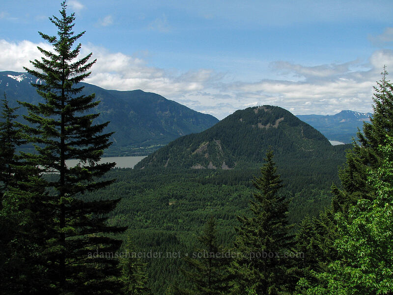 Nick Eaton Ridge (left), Wind Mountain, & Hamilton Mountain [Augspurger Trail, Skamania County, Washington]