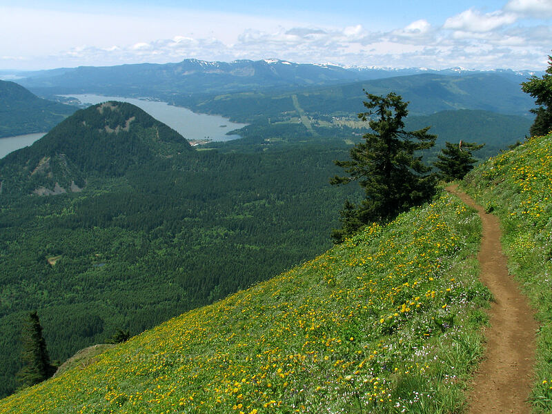 Wind River Valley [Dog Mountain, Skamania County, Washington]