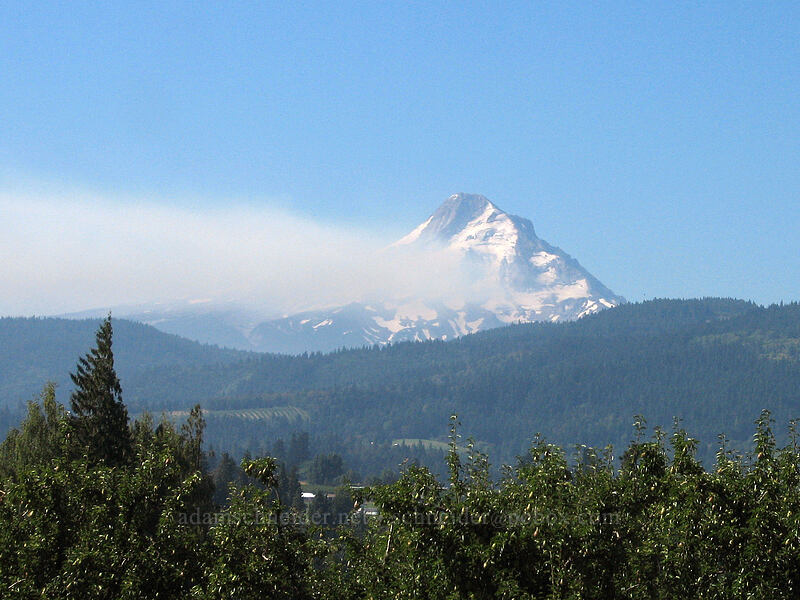 Mount Hood & smoke from the Gnarl Ridge fire [Tucker Road, Hood River, Oregon]