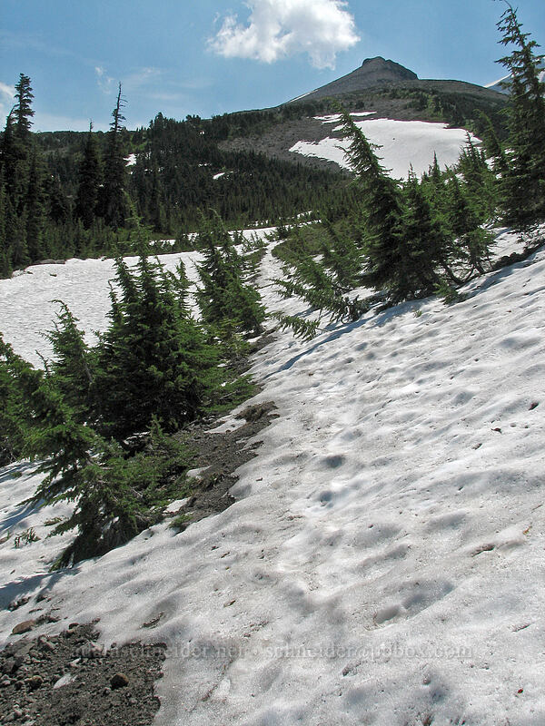 Barrett Spur and a very snowy trail [Timberline Trail, Mt. Hood Wilderness, Hood River, Oregon]