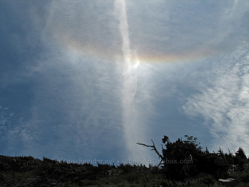 22° halo around the sun [Barrett Spur Trail, Mt. Hood Wilderness, Hood River, Oregon]
