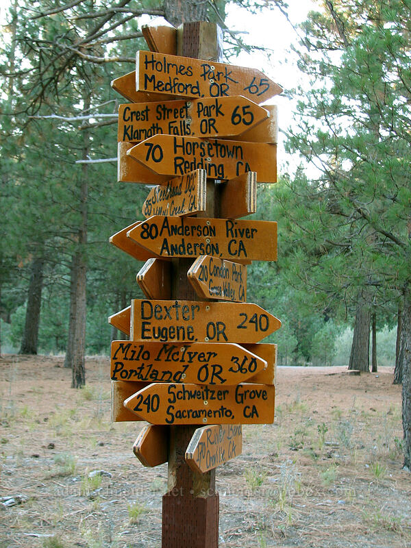 disc golf sign [College of the Siskiyous, Weed, Siskiyou County, California]