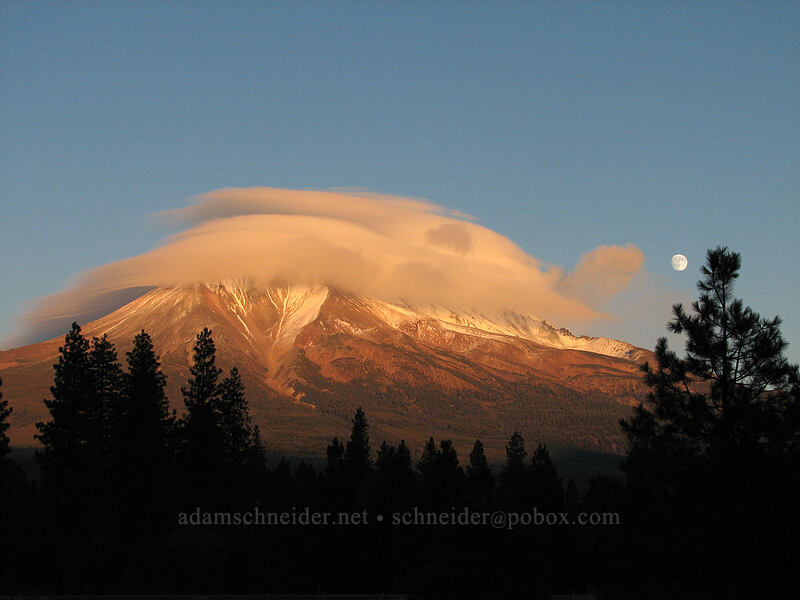 moonrise over Mt. Shasta & a pine tree [South Weed Blvd., Weed, Siskiyou County, California]