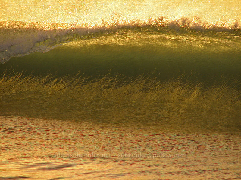 waves at sunrise [Playa Hotelera, San Jose del Cabo, Los Cabos, Baja California Sur, Mexico]