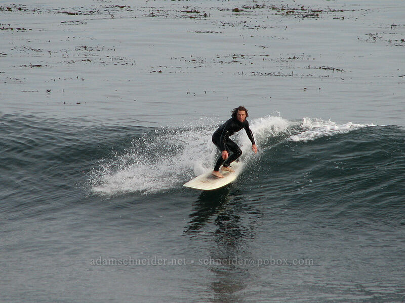 surfer [West Cliff Drive, Santa Cruz, California]