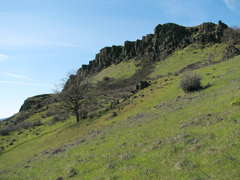 basalt crags [Cherry Orchard Trail, Lyle, Klickitat County, Washington]