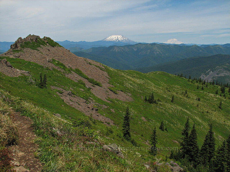 Mt. St. Helens & Mt. Rainier [Ed's Trail, Silver Star Mountain, Gifford Pinchot Nat'l Forest, Skamania County, Washington]